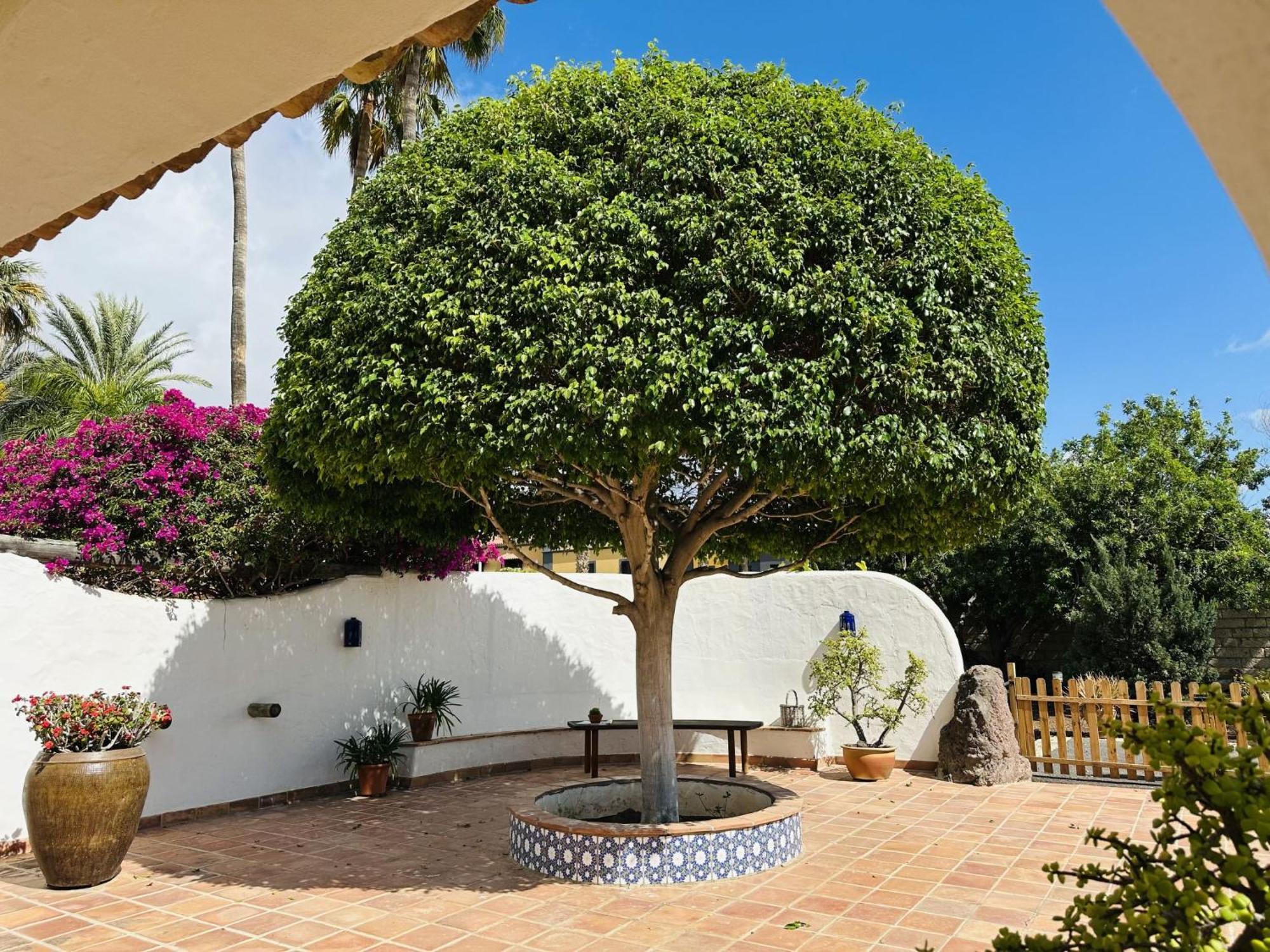 Villa Finca Ingala By Interhome أذيخي المظهر الخارجي الصورة